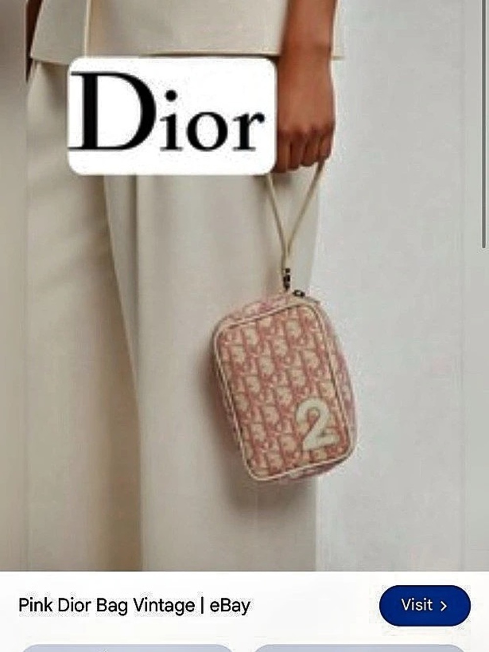 Vintage Dior Saddle Nano Pouch Pink & White Mini Bag